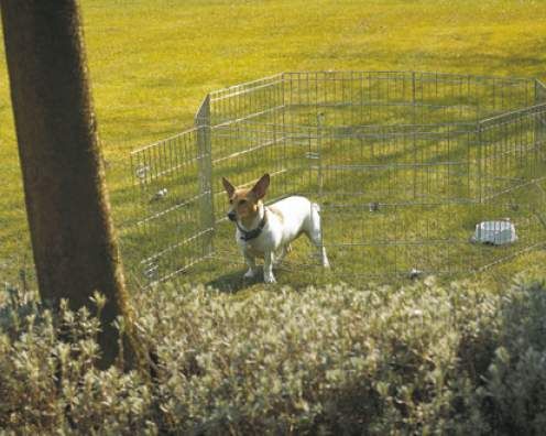 Savic Dog Park Dog Play Pen