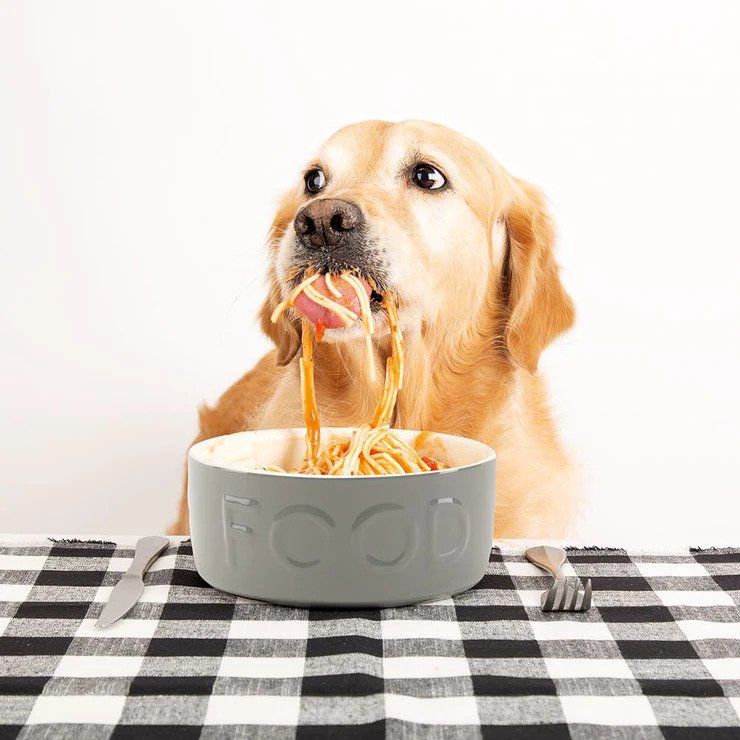 Scruffs Classic Food Dog Bowl