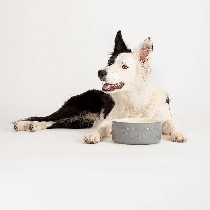 Scruffs Classic Food Dog Bowl