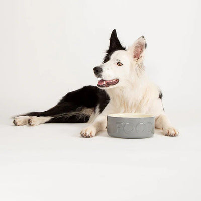 Scruffs Classic Food Dog Bowl