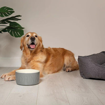 Scruffs Classic Water Dog Bowl