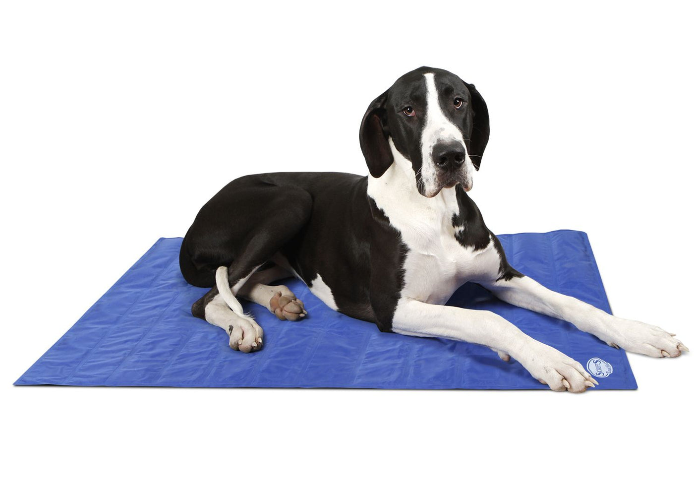 Scruffs Cool Dog Mat