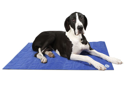 Scruffs Cool Dog Mat