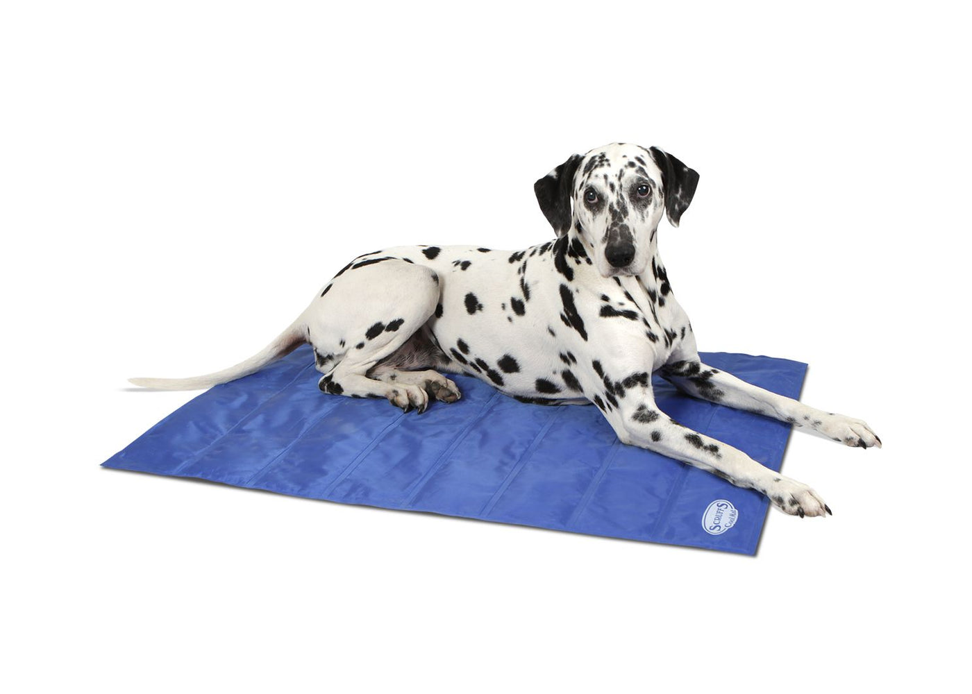 Scruffs Cool Dog Mat