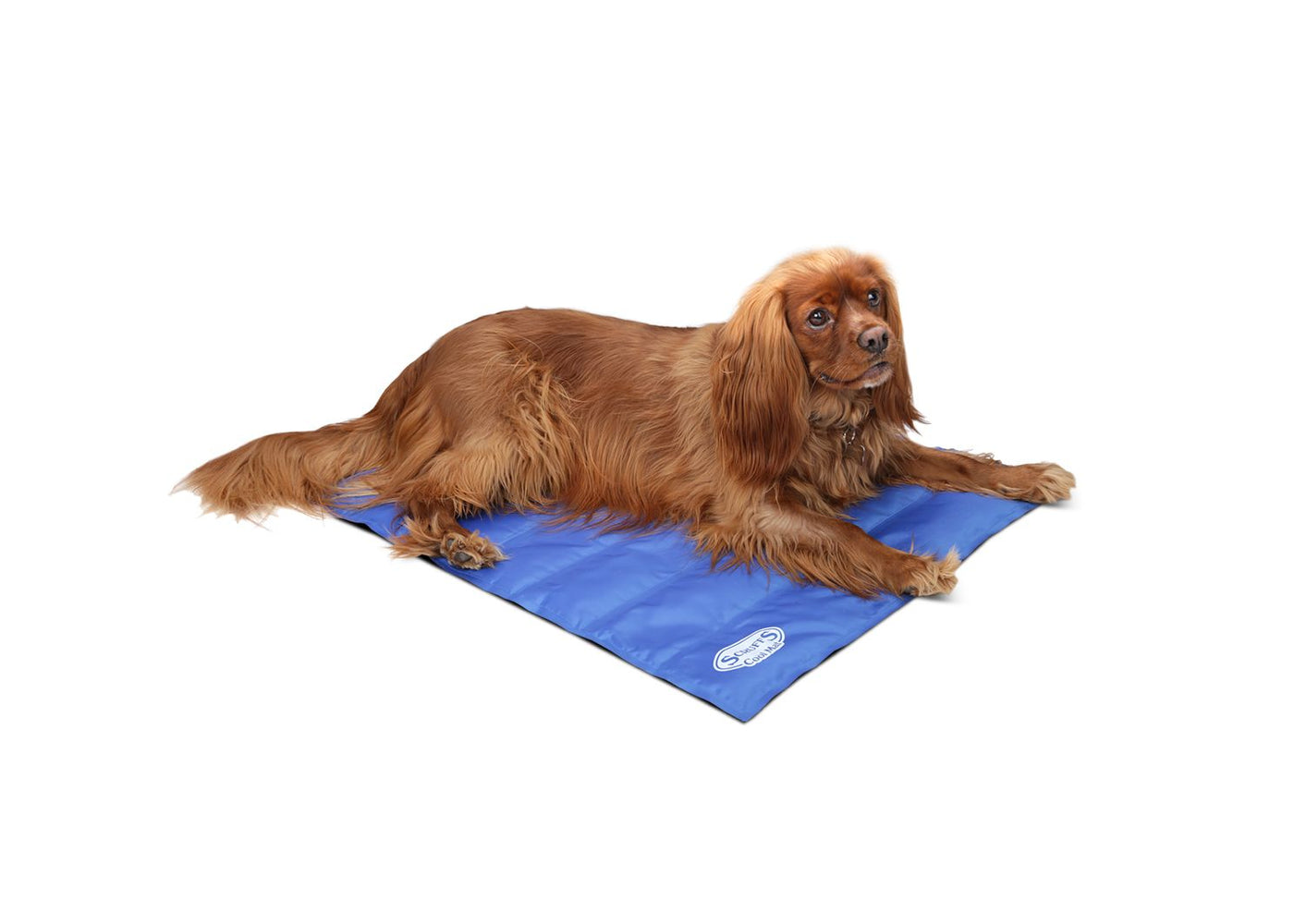 Scruffs Cool Dog Mat