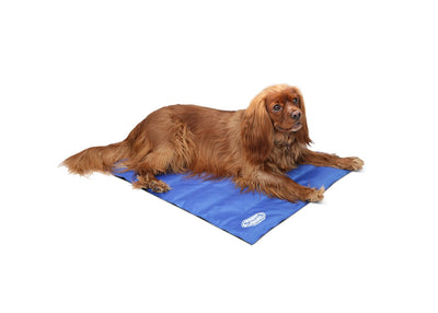 Scruffs Cool Dog Mat