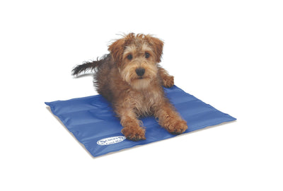 Scruffs Cool Dog Mat