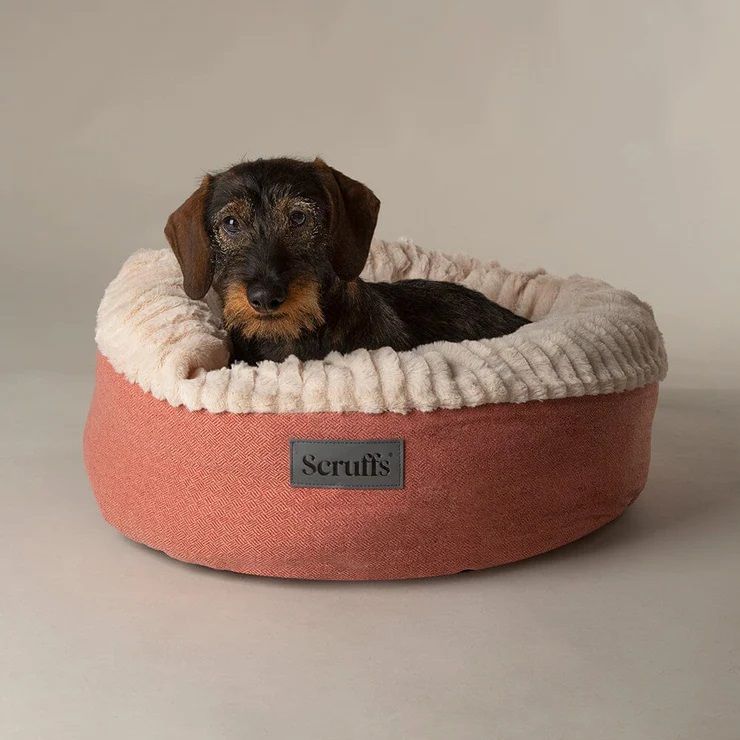 Scruffs Ellen Donut Dog Bed