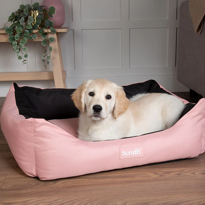 Scruffs Expedition Box Dog Bed