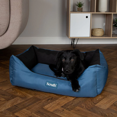 Scruffs Expedition Box Dog Bed