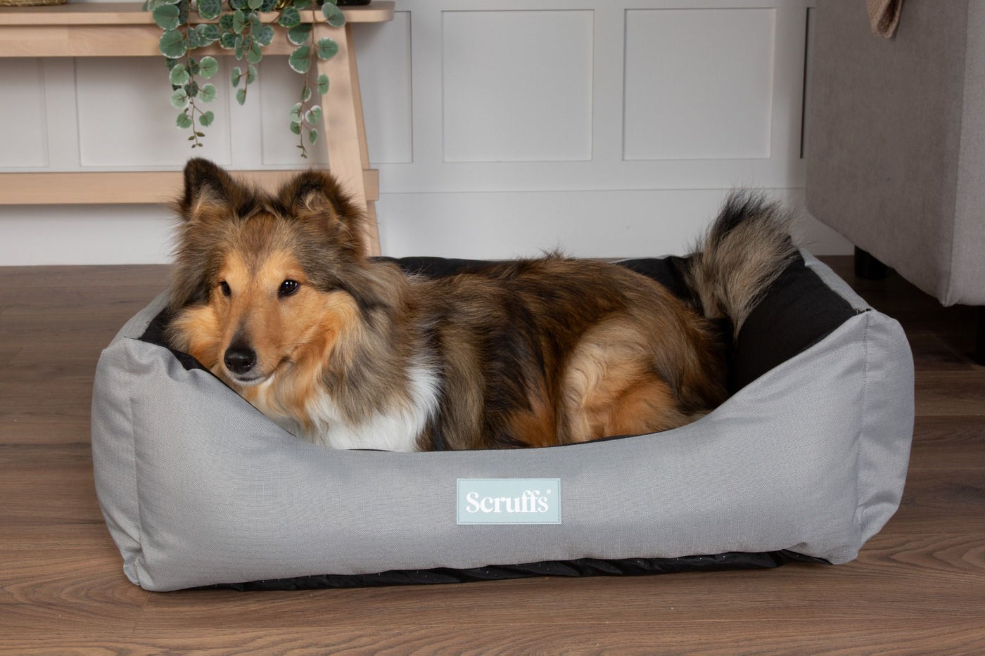 Scruffs Expedition Box Dog Bed