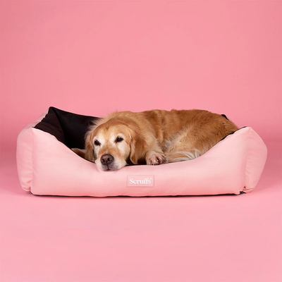 Scruffs Expedition Box Dog Bed