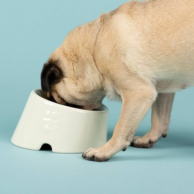 Scruffs Icon Flat Faced Dog Bowl 18cm