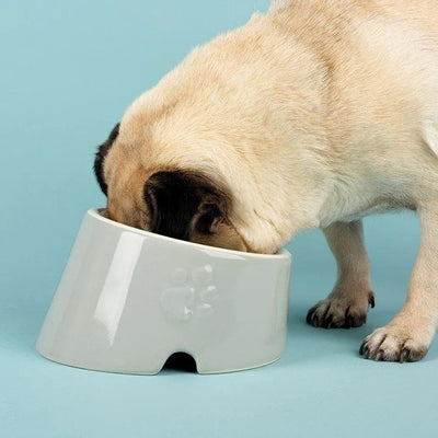 Scruffs Icon Flat Faced Dog Bowl 18cm