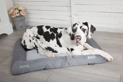 Scruffs Self-Cooling Dog Bed
