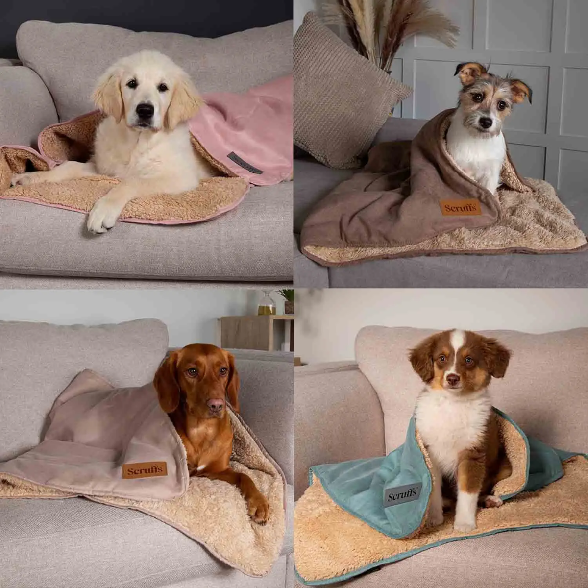 Scruffs Snuggle Dog Blanket
