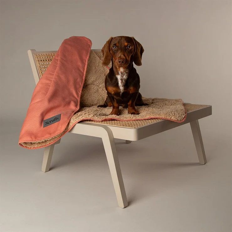 Scruffs Snuggle Dog Blanket