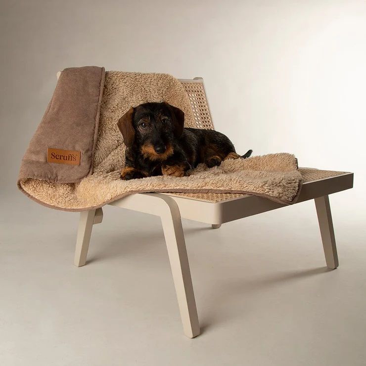 Scruffs Snuggle Dog Blanket