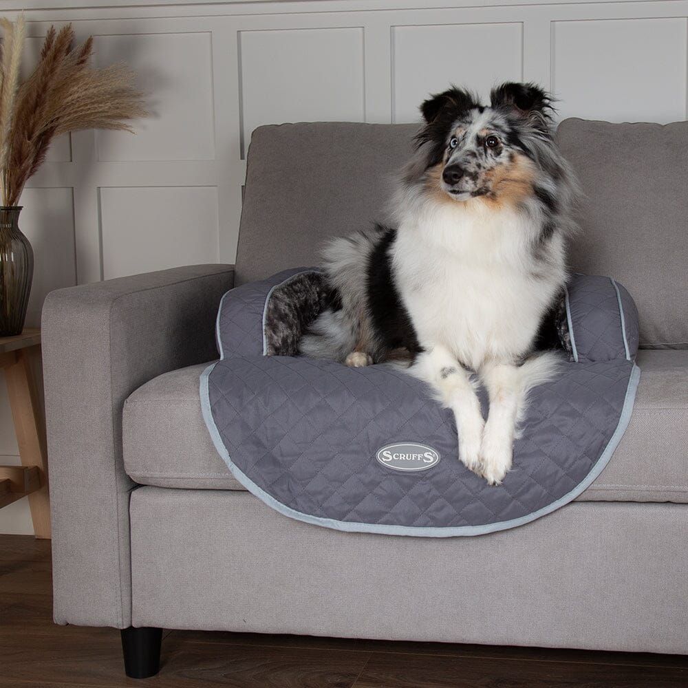 Scruffs Wilton Sofa Dog Bed