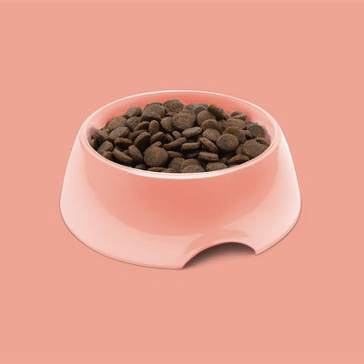 Symply Fresh Salmon All Adult Breeds Dry Dog Food