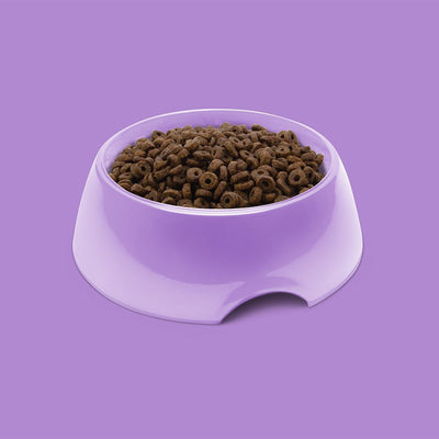 Symply Fresh Turkey Adult Small Breeds Dry Dog Food