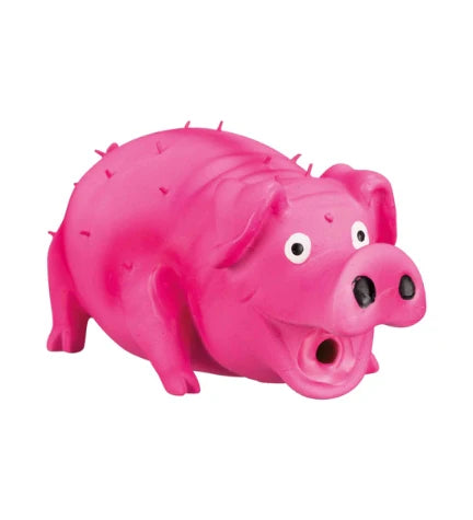 Trixie Bristle Pig Toy for Dogs