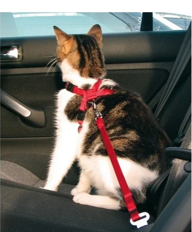 Trixie Car Harness for Cats