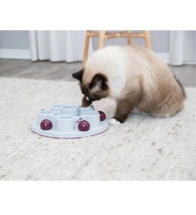 Trixie Cat Activity Pentagon Strategy Game