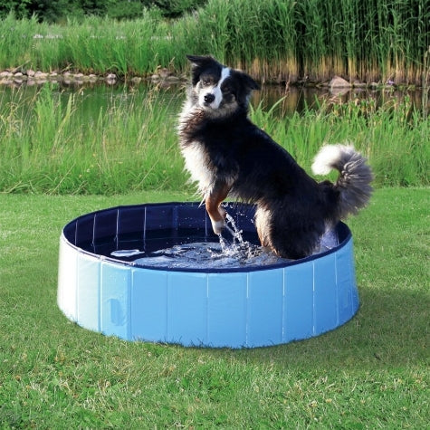 Trixie Dog Pool