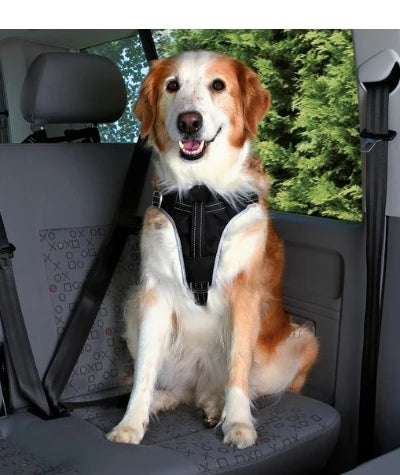 Trixie Dog Protect Car Harness