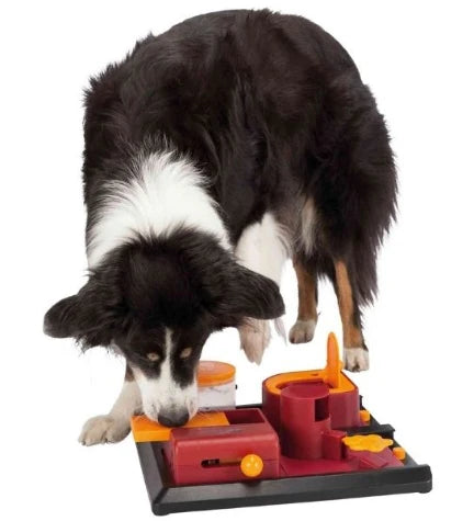 Trixie Dog Strategy Fun Box 2 Toy for Dogs