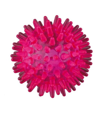 Trixie Flashing Hedgehog Ball Toy for Dogs