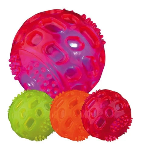 Trixie Flashing & Floating Ball Toy for Dogs