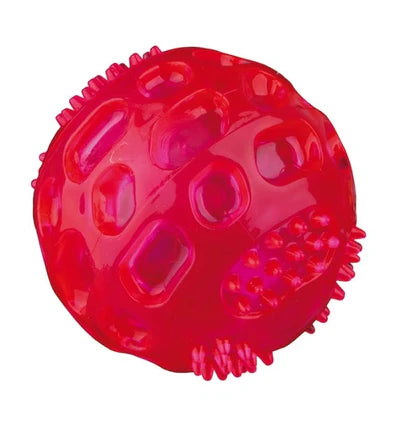 Trixie Flashing & Floating Ball Toy for Dogs