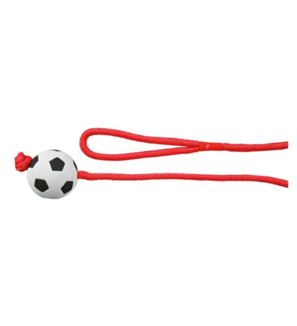 Trixie Football On a Rope Floatable Dog Toy