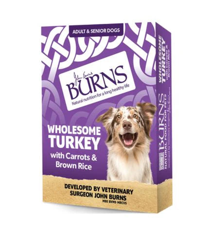 Burns Wholesome Turkey with Carrots and Brown Wet Dog Food