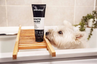 White Wash Dog Shampoo 250ml