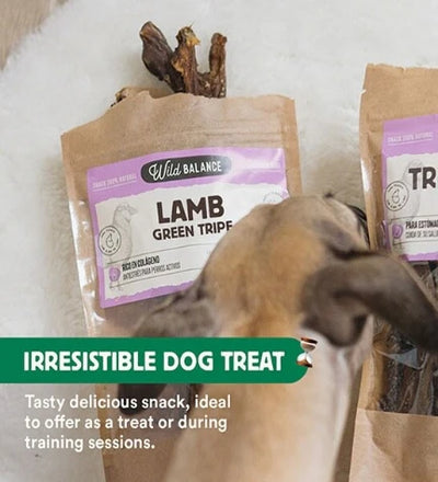 Wild Balance Natural Snack Lamb Green Tripe for Dogs 80G