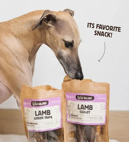 Wild Balance Natural Snack Lamb Gullet for Dogs 50G