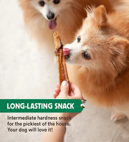 Wild Balance Natural Snack Lamb Trachea for Dogs 80G