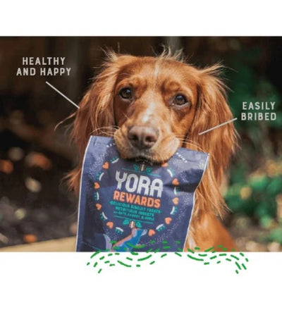 Yora Pet Foods Training Dog Treats