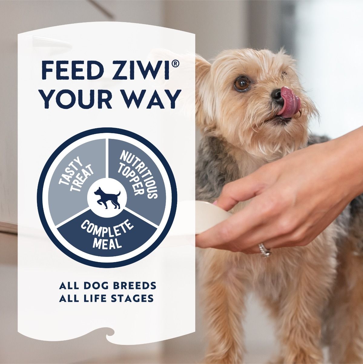 ZIWI Peak Air-Dried Tripe & Lamb Recipe Dry Dog Food