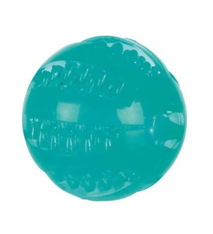 Trixie Thermoplastic Denta Fun Ball Toy for Dogs