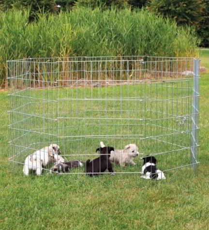 Trixie Puppy Run for Puppies