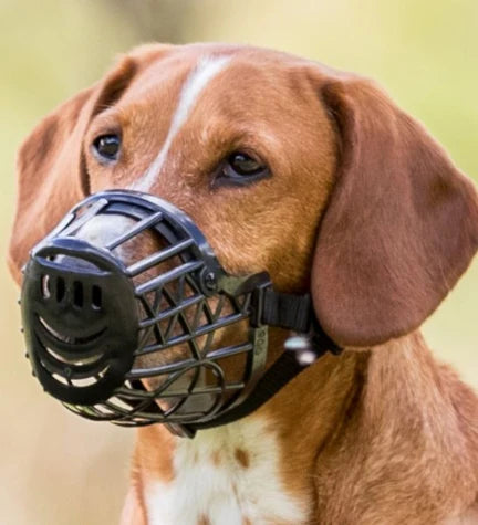 Trixie Plastic Muzzle for Dogs