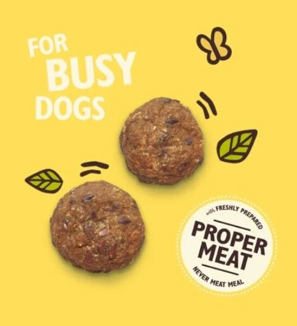 Lily's Kitchen Chicken Protein Bites for Dogs