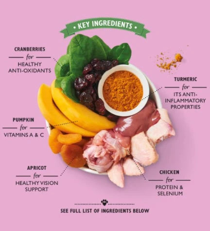 Lily's Kitchen Coronation Chicken Wet Dog Food