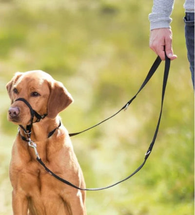 Trixie Top Trainer Headcollar for Dogs