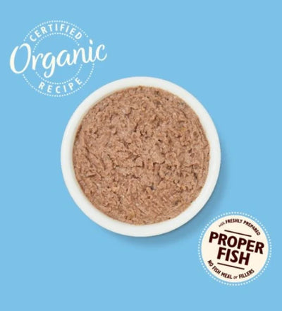 Lily's Kitchen Organic Fish Pate Wet Cat Food