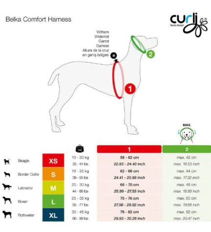 Curli Belka Comfort Harness for Dogs